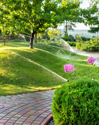 Lawn Maintenance & Other Services